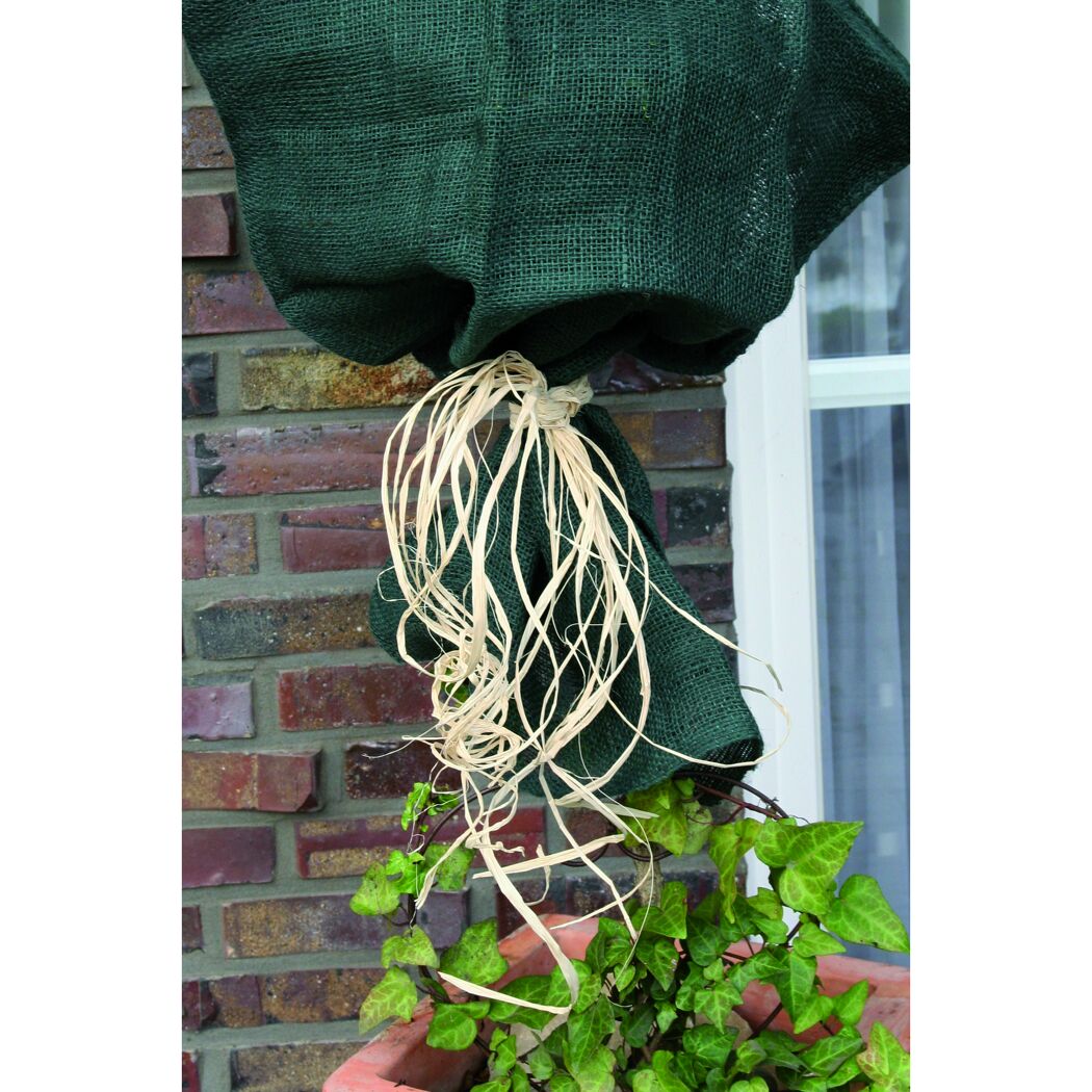 Pflanze mit Winterschutz aus Jute