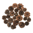 Verkleinertes Bild von Kieferzapfen braun 2,5-5 cm, 100 g