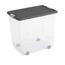 Transparente Aufbewahrungsbox mit Rollen und grauem Deckel