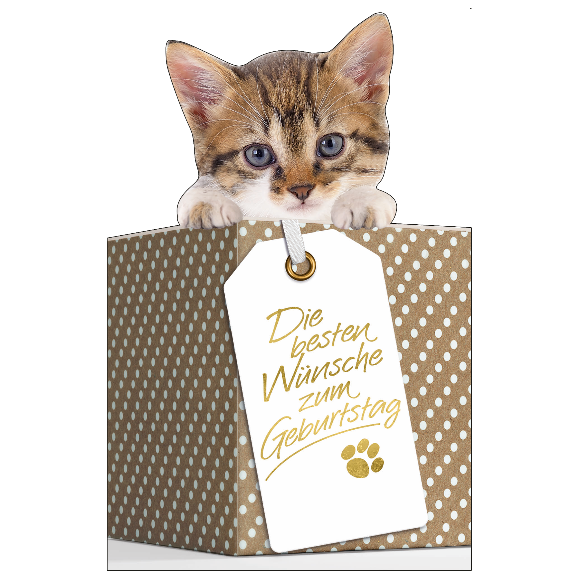 Grußkarte Geburtstag 'Katze im Korb' + product picture