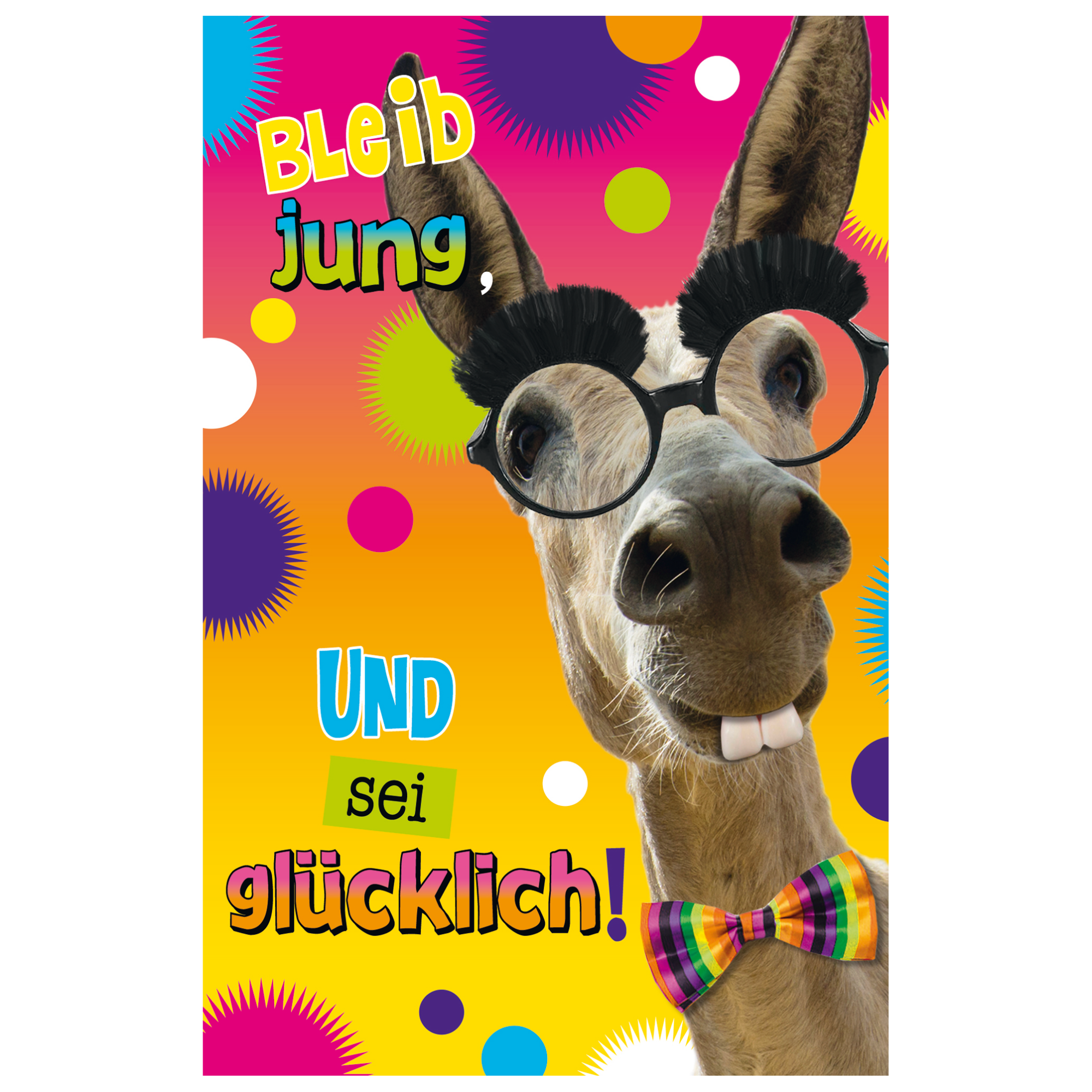 Grußkarte Geburtstag Humor 'Crazy Muli' + product picture