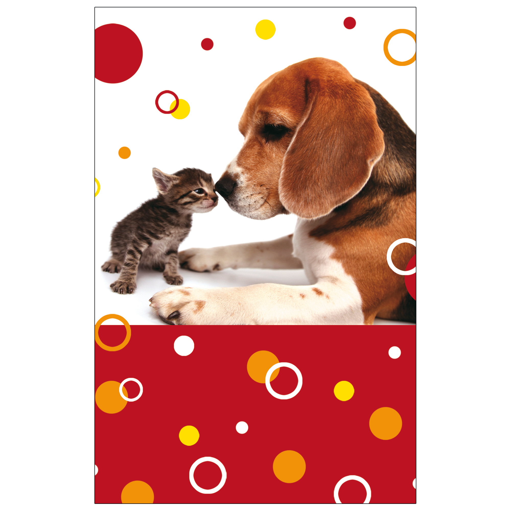 Grußkarte Allgemein 'Hund und Katze' + product picture