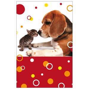 Grußkarte Allgemein 'Hund und Katze'