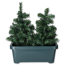 Verkleinertes Bild von Künstliche Weihnachtsbäume im Kasten grün 50 cm, 2er-Set