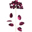 Verkleinertes Bild von Kunstblumen-Zweig dunkelrot 69 cm