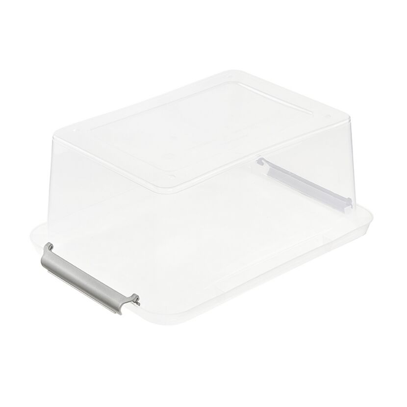Transparente Aufbewahrungsbox mit Deckel und Griff