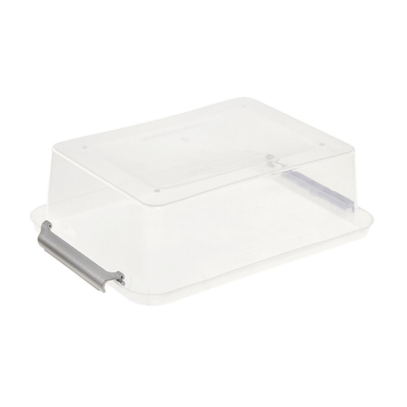 Transparente Aufbewahrungsbox mit silbernem Griff