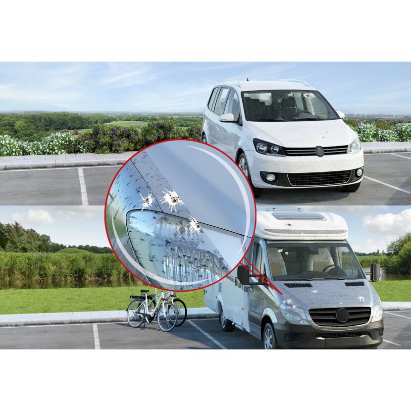 Insektenreste auf Autolack und Wohnmobil