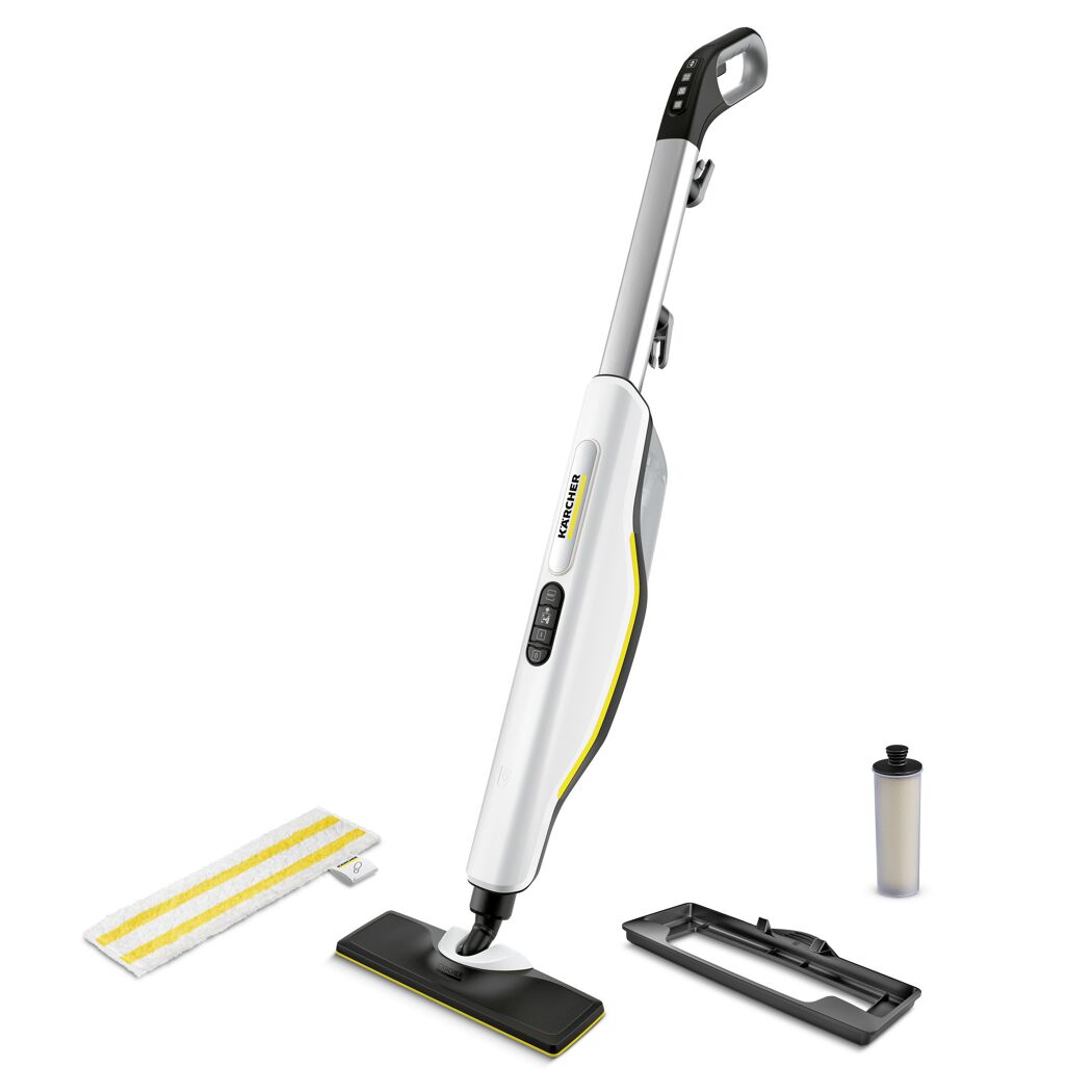 Dampfreiniger mit Zubehör