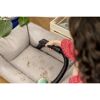 Person reinigt Sofa mit Waschsauger