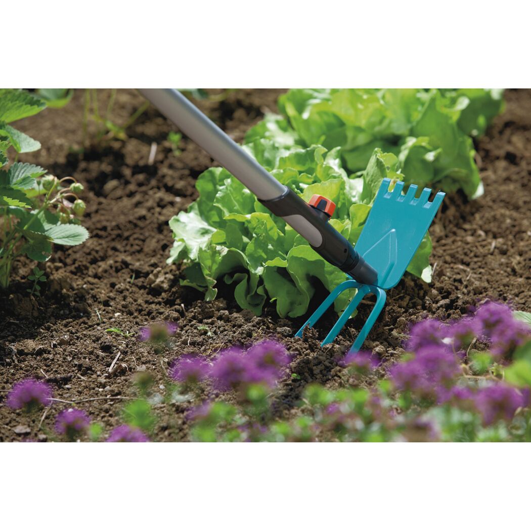 Eine Person lockert mit einer Gartenhacke die Erde um einen Salatkopf herum.