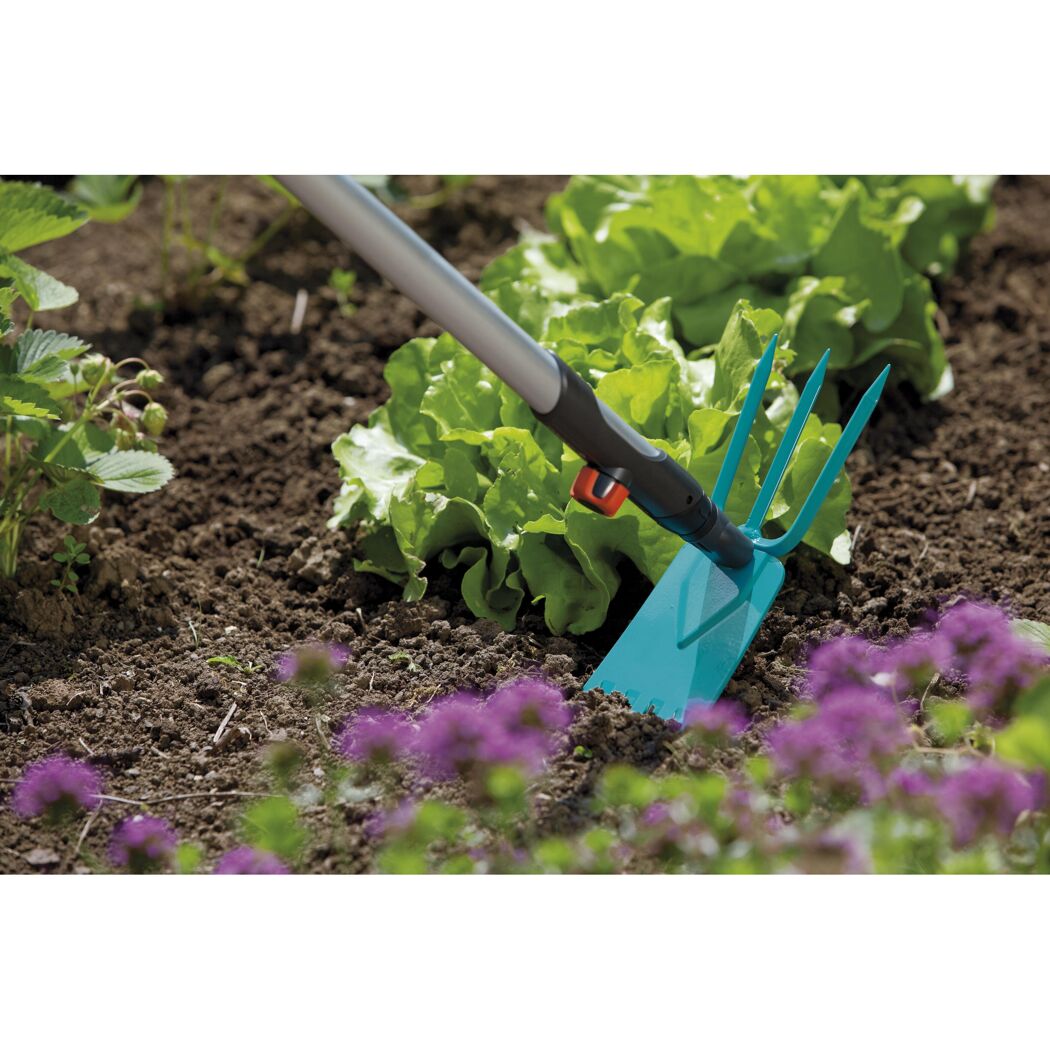 Jemand jätet mit einer Gartenhacke Unkraut neben Salat.