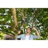 Person schneidet mit Gartenschere Äste von Baum