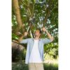 Person schneidet mit Astschere einen Baum