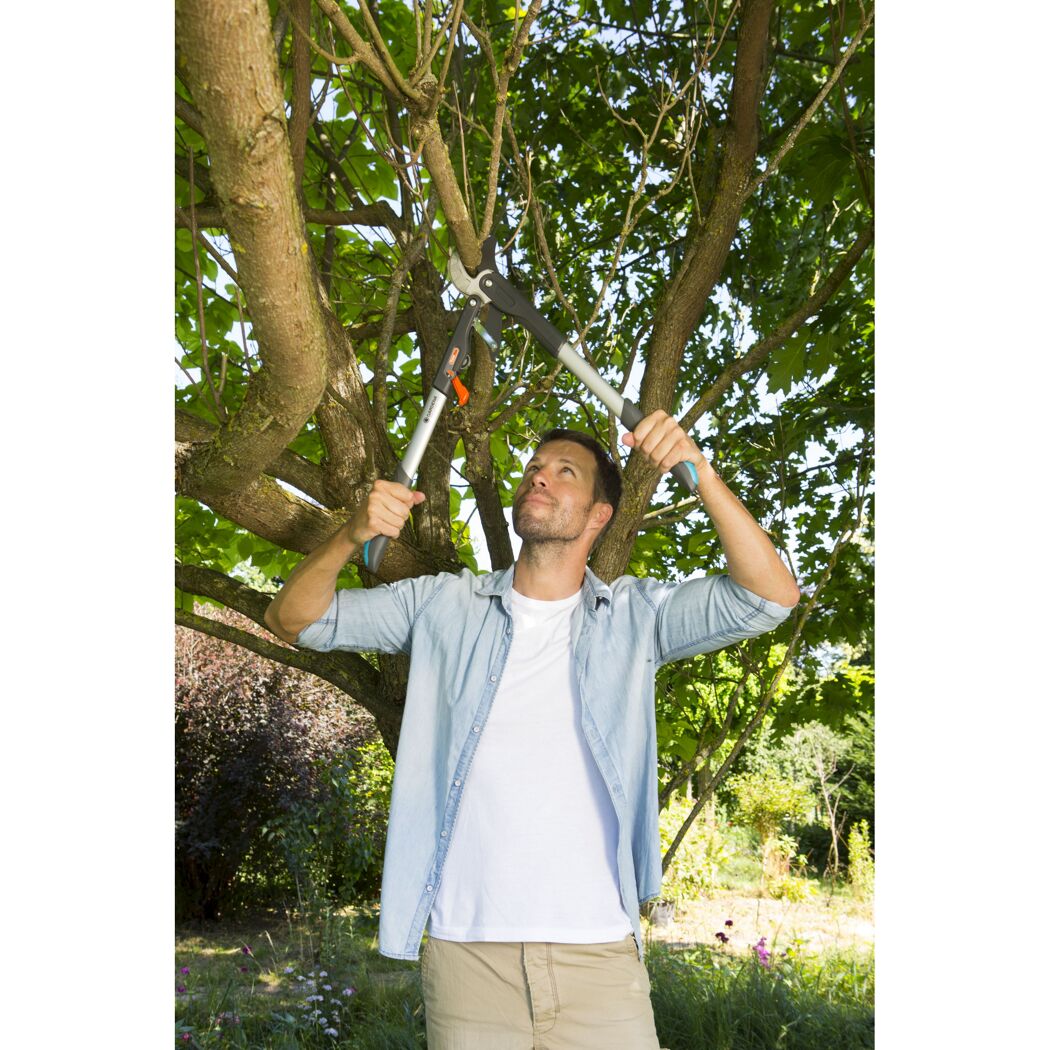 Person schneidet mit Astschere einen Baum