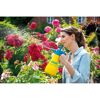 Person besprüht Rosen mit Gloria Hobby 100 Drucksprühgerät
