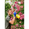 Person besprüht Rosen mit Gloria Hobby 10 FLEX