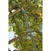 Gartensäge zum Schneiden eines Apfelbaumes
