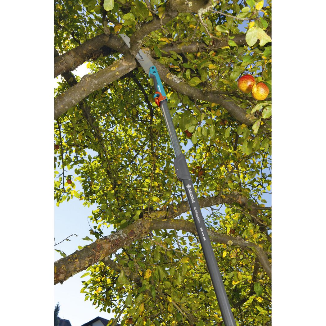 Gartensäge zum Schneiden eines Apfelbaumes