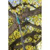 Gardena Combisystem Gartensäge beim Sägen eines Astes