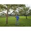 Person schneidet mit Bügelsäge Combisystem Äste eines Apfelbaums