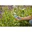 Person schneidet mit Gartenschere grüne Zweige
