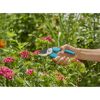 Person schneidet Blumen mit Gartenschere