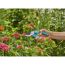 Person schneidet Blumen mit Gartenschere