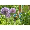 Person schneidet lila Blume mit Gartenschere