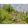 Person schneidet mit Gartenschere Blumen im Garten