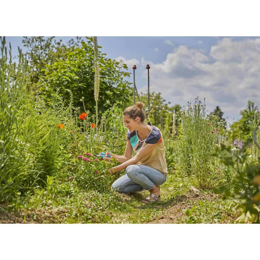 Person schneidet mit Gartenschere Blumen im Garten