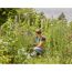 Person schneidet Blumen mit Gartenschere