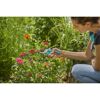Person schneidet mit Gartenschere Classic Blumen