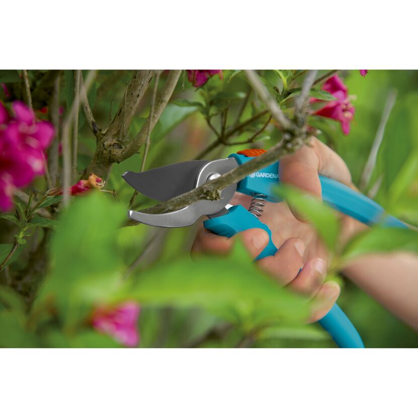 Person schneidet mit Gartenschere einen Ast