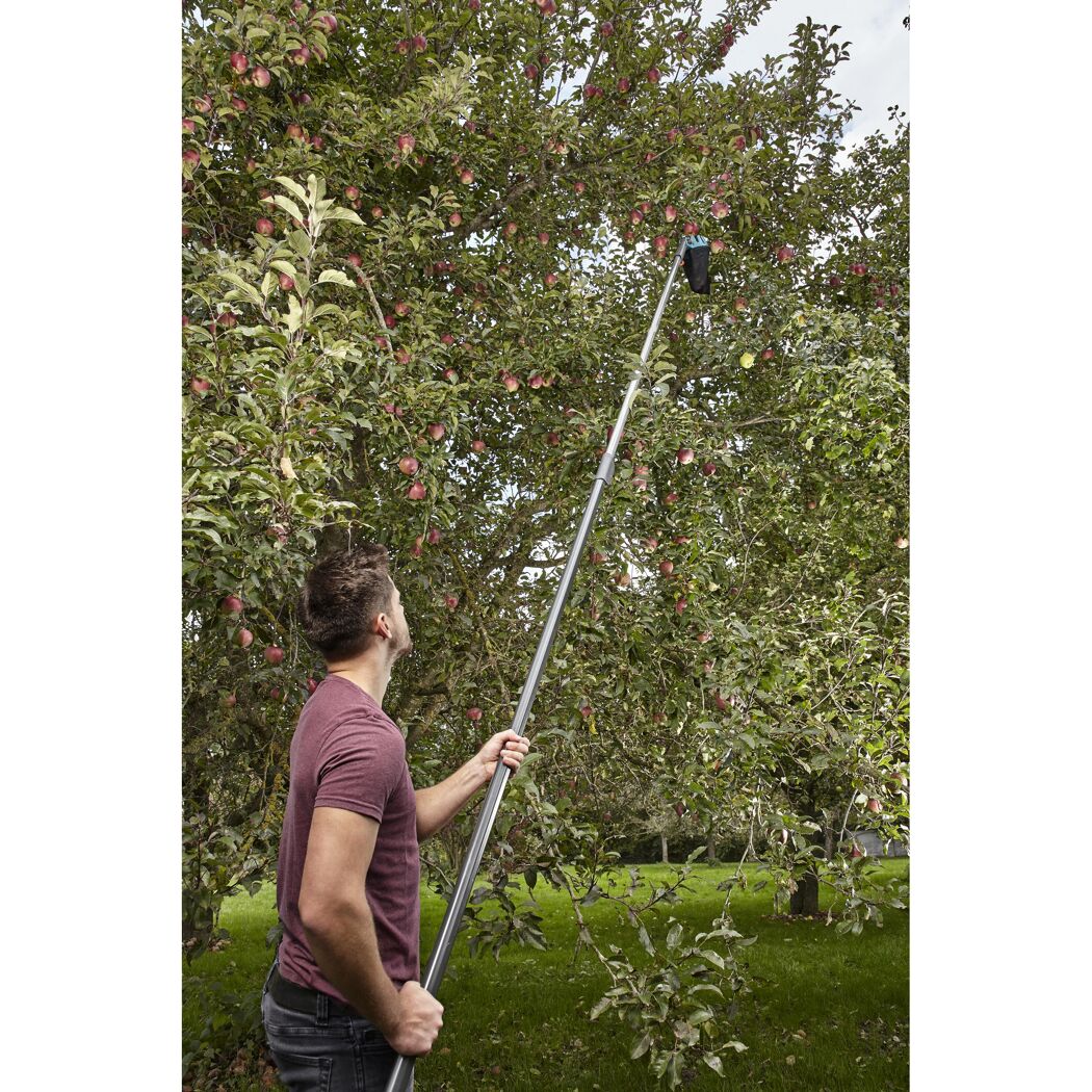 Person erntet Äpfel mit einem Obstpflücker
