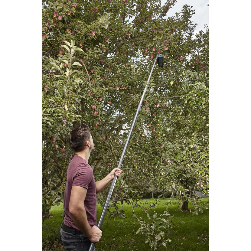 Person erntet Äpfel mit einem Obstpflücker