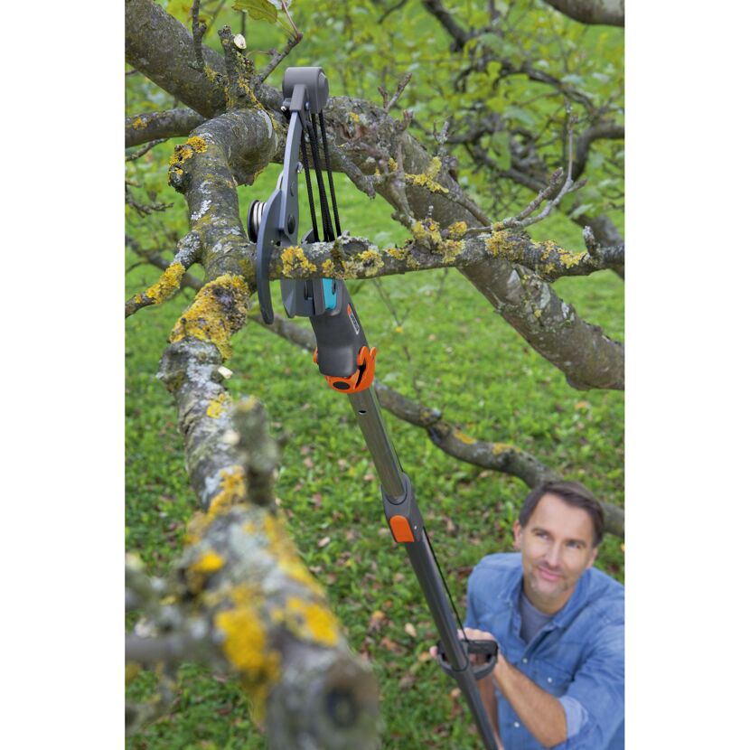 Person schneidet mit einer Gartenschere einen Ast