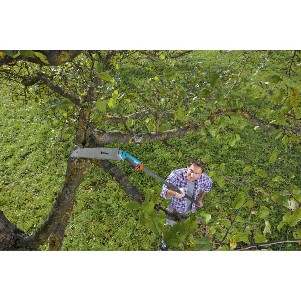 Person schneidet mit Gartensäge Äste eines Obstbaumes
