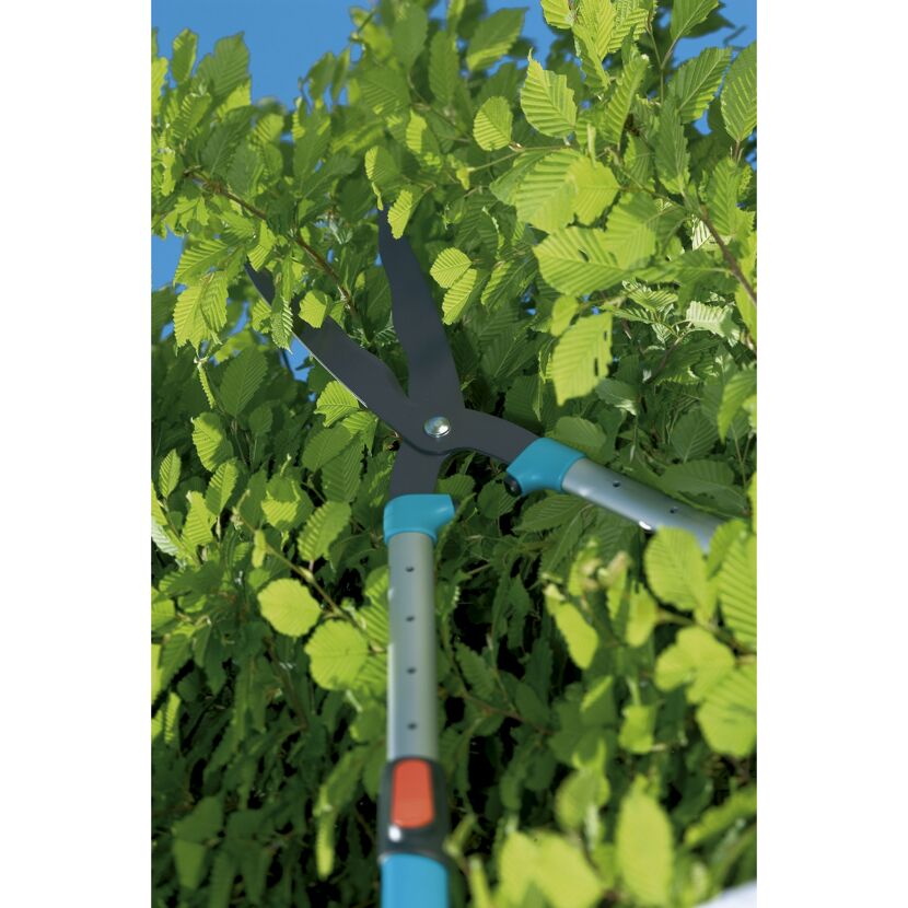 Heckenschere beim Schneiden einer Hecke