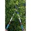 Person schneidet Hecke mit Gartenschere