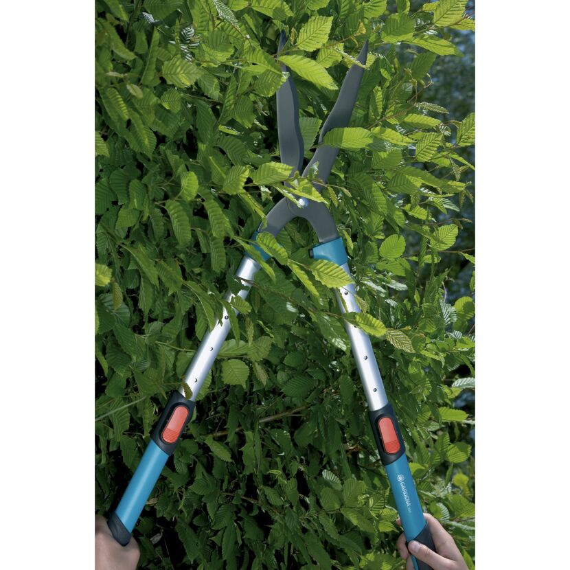 Person schneidet Hecke mit Gartenschere