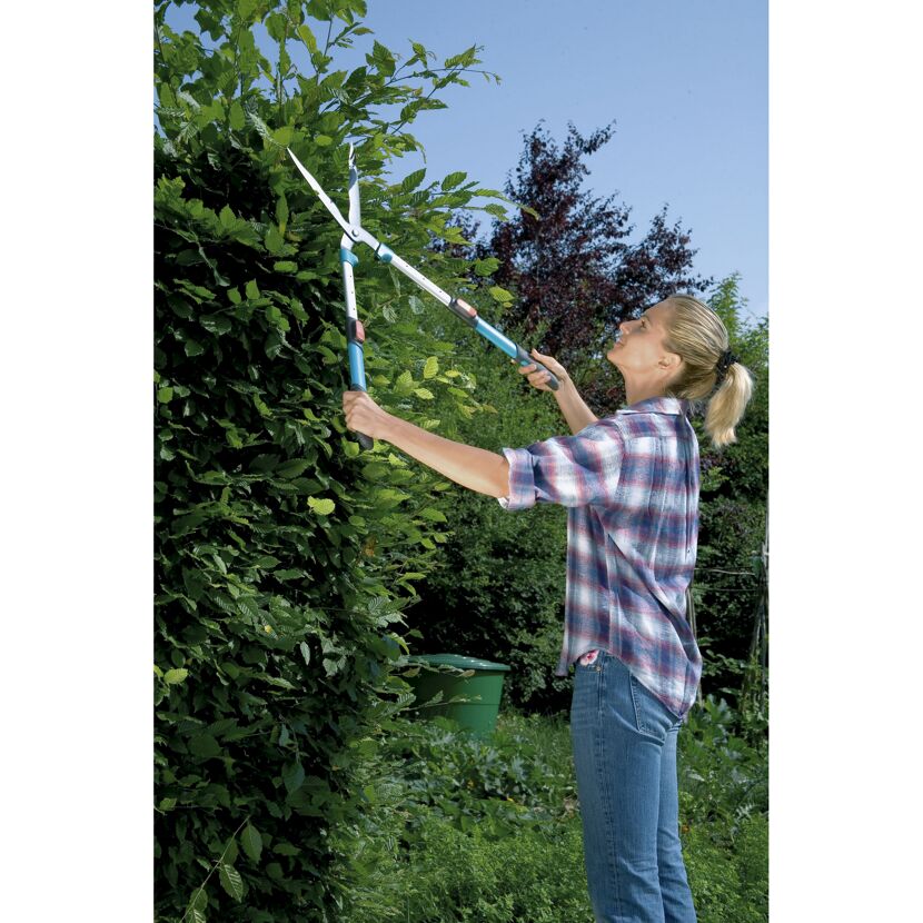 Person schneidet Hecke mit Teleskopheckenschere