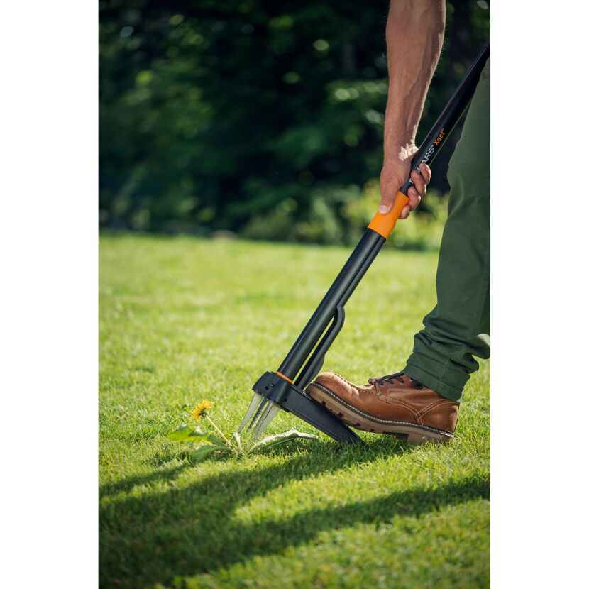 Person entfernt Löwenzahn mit dem Fiskars Xact Unkrautstecher.