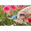 Person schneidet Rosen mit Gartenschere