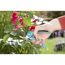 Person schneidet Rosen mit Gartenschere