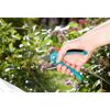 Hand hält Gartenschere B/S