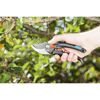 Hand hält Gartenschere B\/S-XL