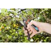 Person schneidet mit Gartenschere B\/S-XL einen Ast