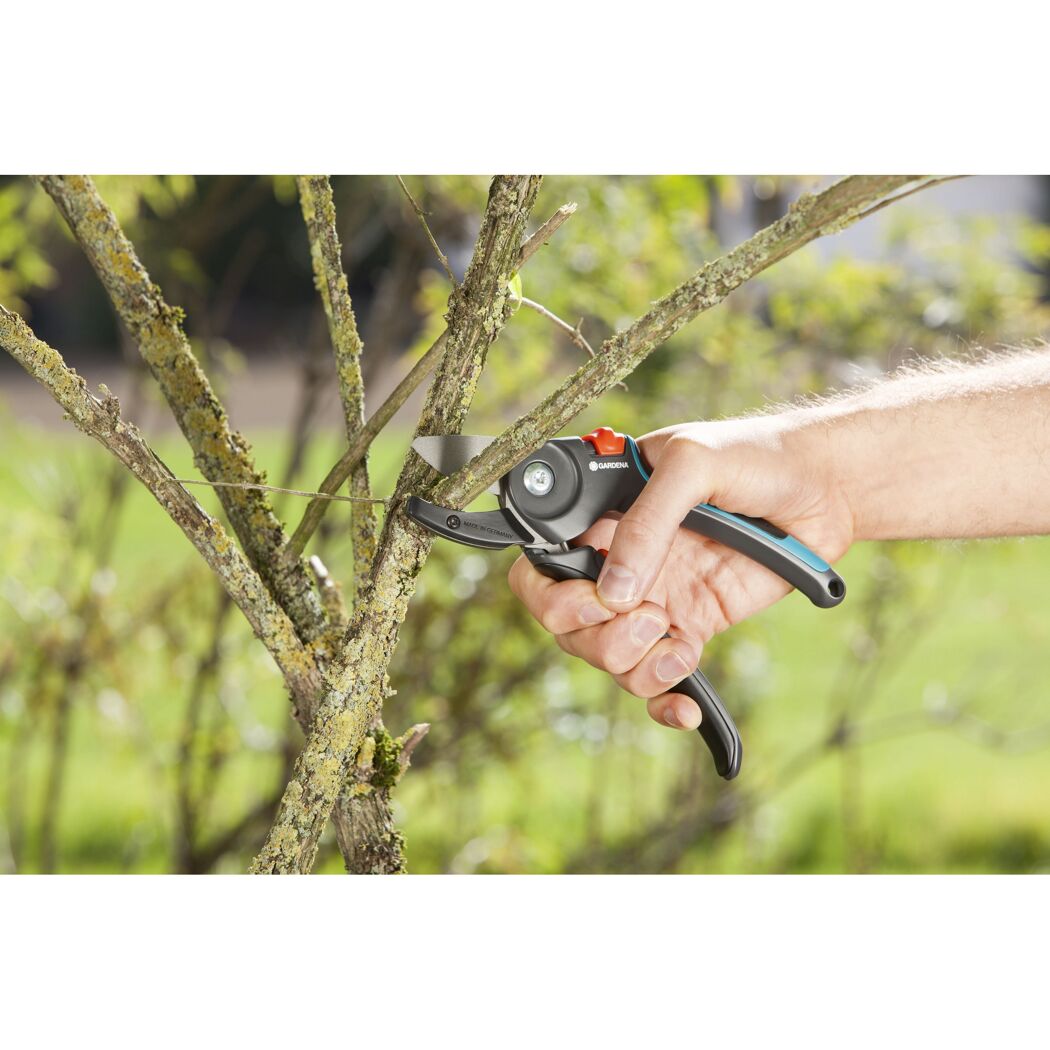 Person schneidet einen Ast mit einer Gartenschere