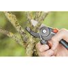 Person schneidet mit Gartenschere einen Ast